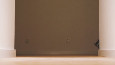 هدافيالدورياتالخمسالكبرىعلىمرالتاريخ